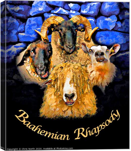 Baahemian Rhapsody Canvas Print by Chris North