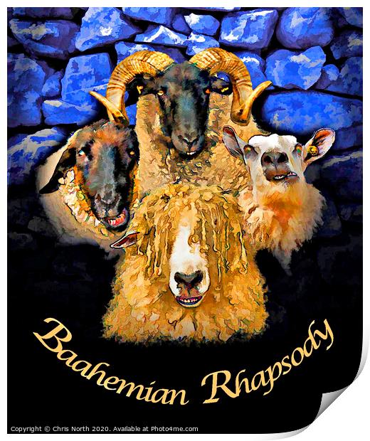 Baahemian Rhapsody Print by Chris North