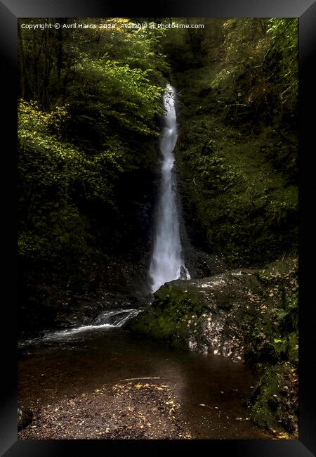 Lydford Gorge whitelady falls Framed Print by Avril Harris