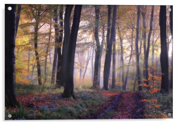 Autumn Woodlands Acrylic by Ceri Jones