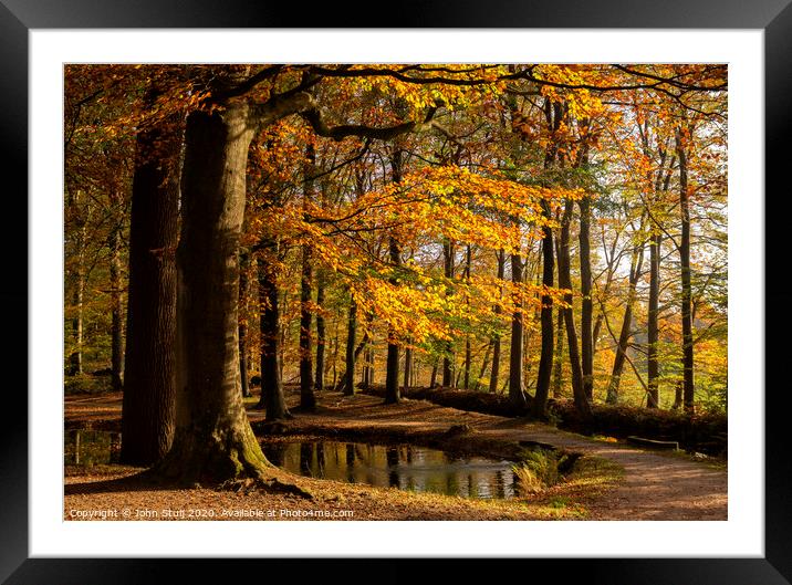 Autumn colored trees Framed Mounted Print by John Stuij