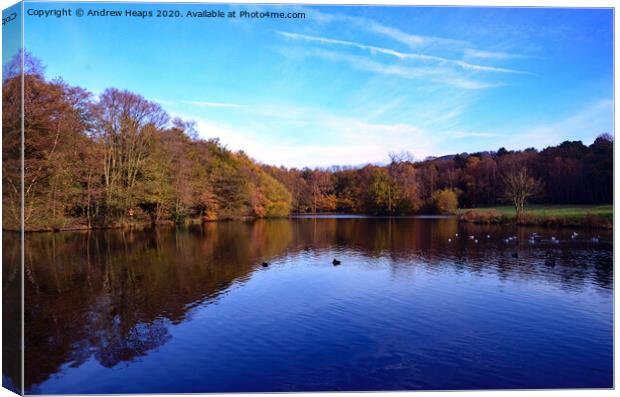 Biddulph Country Park Autumn colours Canvas Print by Andrew Heaps