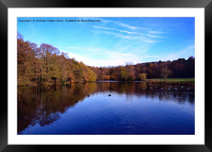Biddulph Country Park Autumn colours Framed Mounted Print by Andrew Heaps