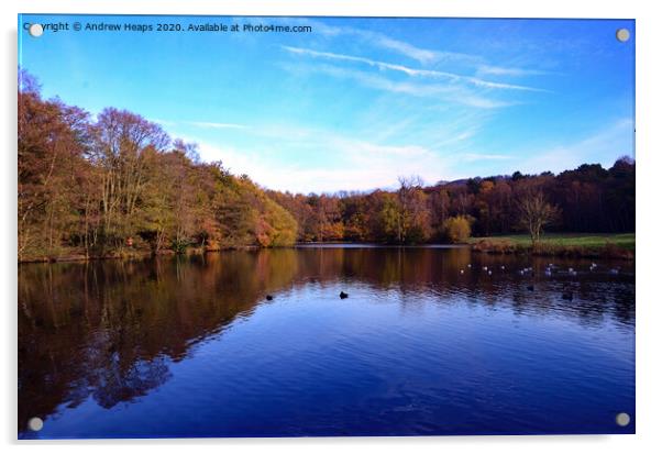 Biddulph Country Park Autumn colours Acrylic by Andrew Heaps