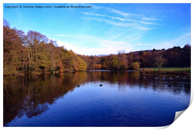 Biddulph Country Park Autumn colours Print by Andrew Heaps