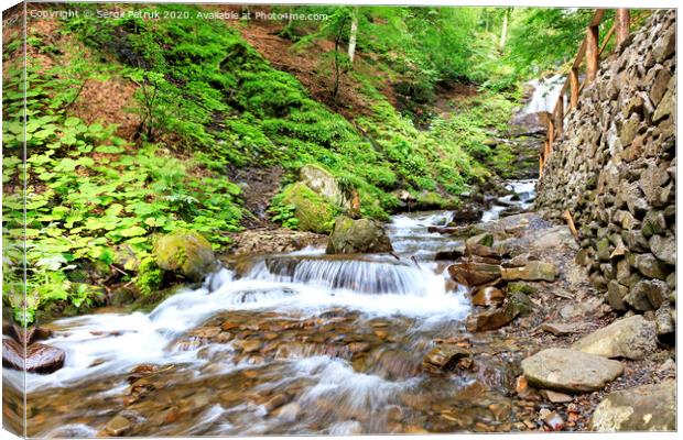The picturesque and beautiful cascade waterfall of a mountain river in the gorge of the Carpathians. Canvas Print by Sergii Petruk