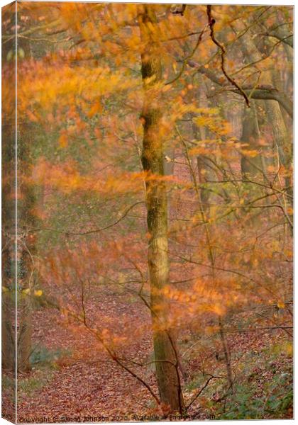 Impressionist image of  Autumn Woodland Canvas Print by Simon Johnson