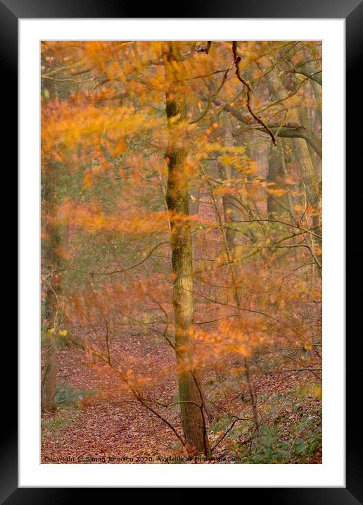 Impressionist image of  Autumn Woodland Framed Mounted Print by Simon Johnson
