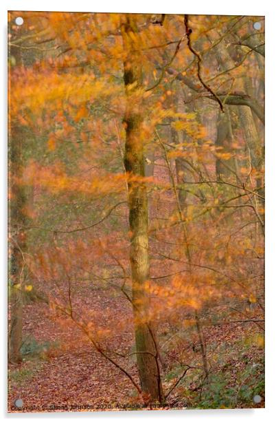 Impressionist image of  Autumn Woodland Acrylic by Simon Johnson