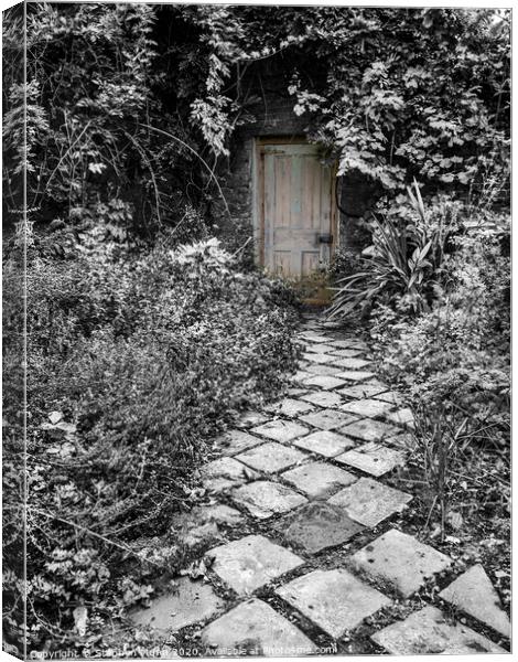 The Hidden Door Canvas Print by Stephen Munn