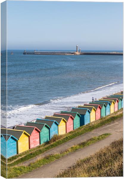 Winding paths to the beach huts at Whitby Canvas Print by Jason Wells