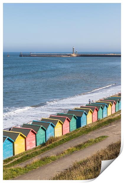 Winding paths to the beach huts at Whitby Print by Jason Wells
