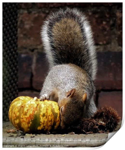 Harvest Squirrel Print by Photography by Sharon Long 