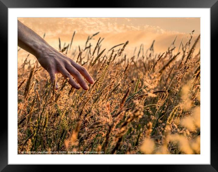 Hand in golden Hay Framed Mounted Print by Stephen Munn