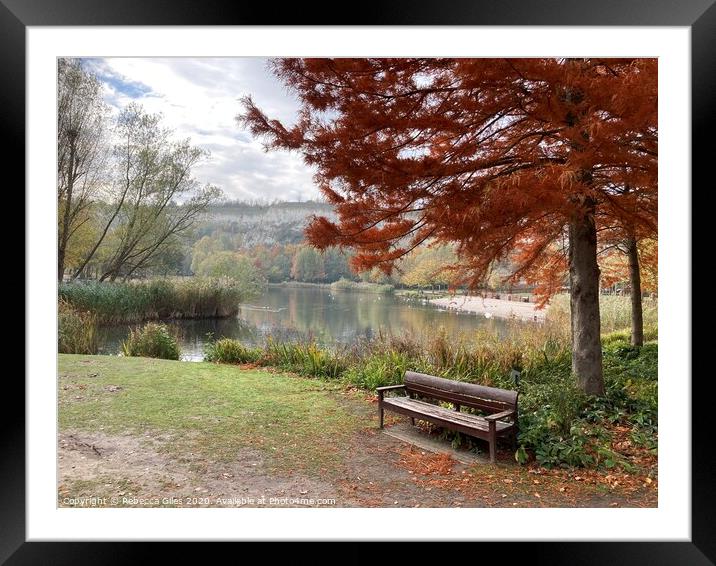 Bench by the lake Framed Mounted Print by Rebecca Giles
