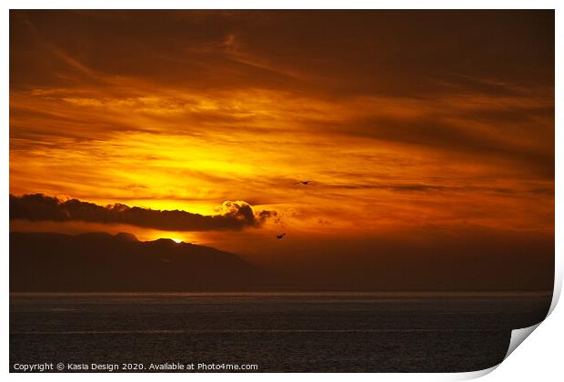 Seagulls Soaring through the Sunset Skies Print by Kasia Design