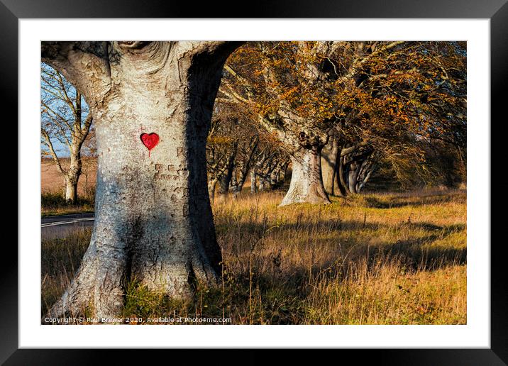 Love Heart Framed Mounted Print by Paul Brewer