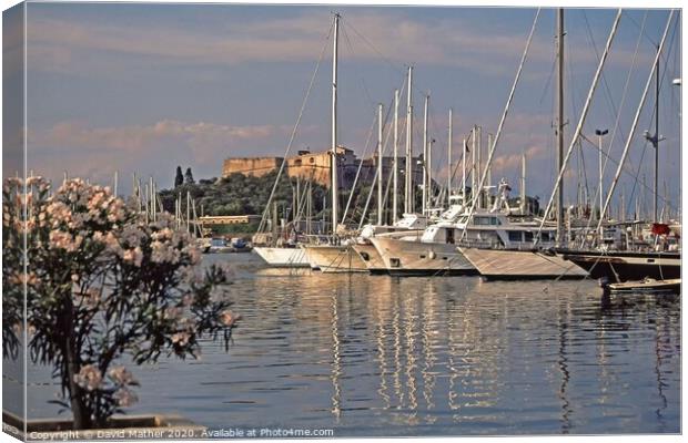 The Port, Antibes. Canvas Print by David Mather