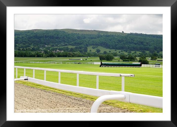 looking out across Cheltenham Race Course Framed Mounted Print by andrew gardner