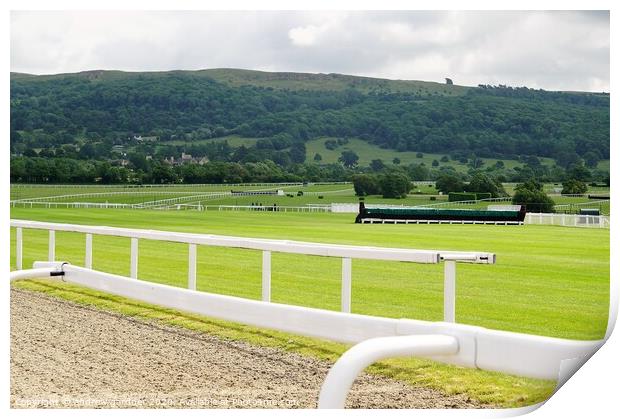 looking out across Cheltenham Race Course Print by andrew gardner
