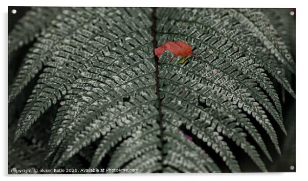 close up of a leaf Acrylic by olsker Batle