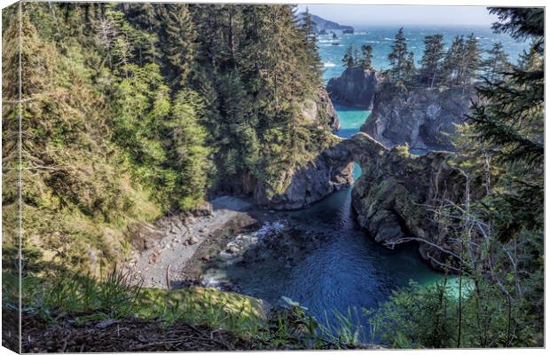 Natural Bridges on The Oregon Coast from the North Canvas Print by Belinda Greb
