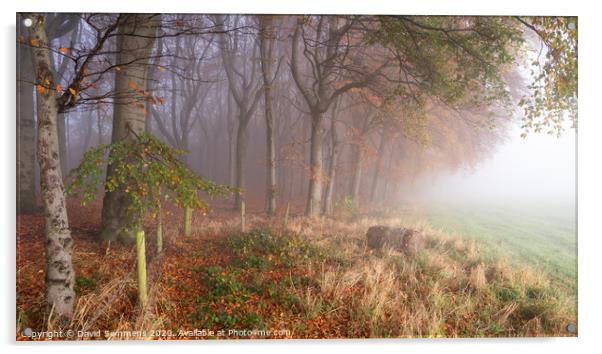 Autumn Mist Acrylic by David Semmens