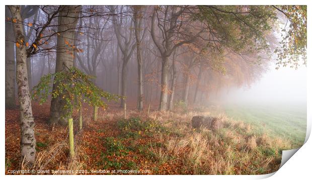 Autumn Mist Print by David Semmens