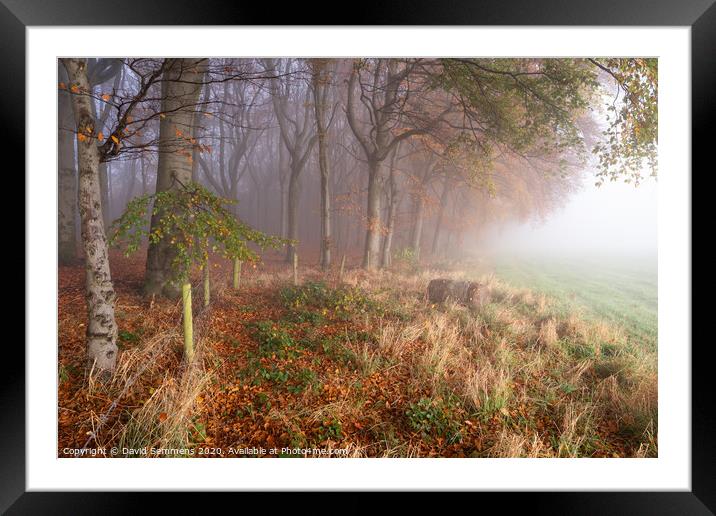Misty Mornings Framed Mounted Print by David Semmens