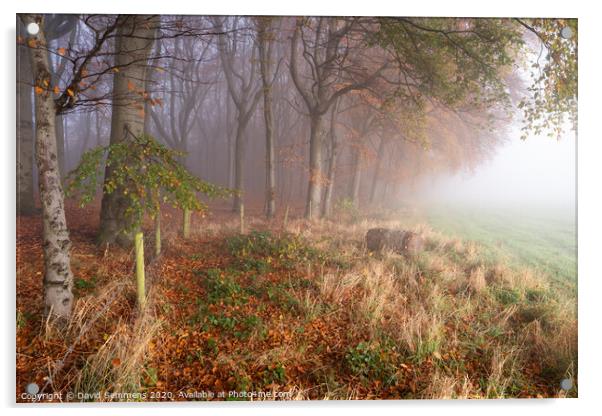 Misty Mornings Acrylic by David Semmens