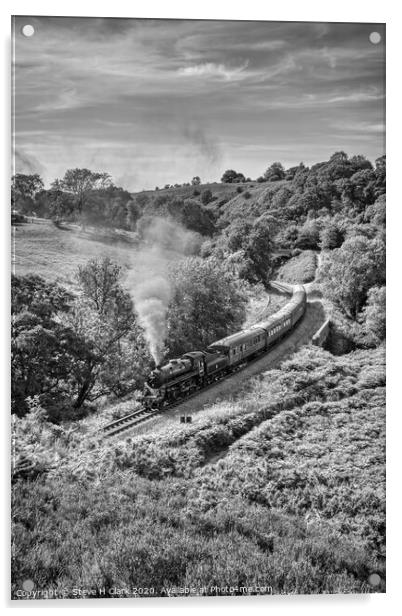 North Yorkshire Moors Railway - Black and White Acrylic by Steve H Clark