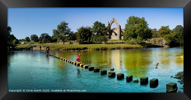 The stepping stones at Bolton Abbey, Yorkshire. Framed Print by Chris North