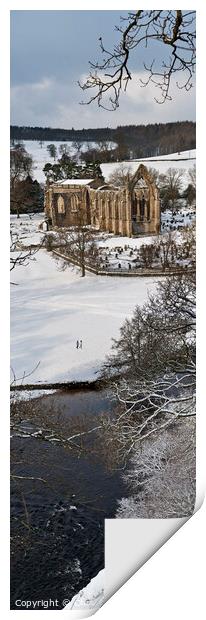 Bolton Abbey winter walk Print by Chris North