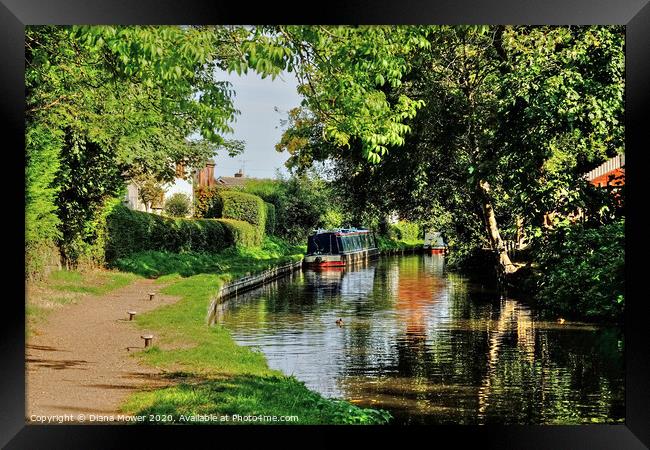 Staffs and Worcester Canal Penkridge Framed Print by Diana Mower