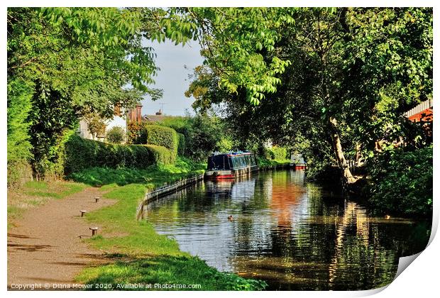 Staffs and Worcester Canal Penkridge Print by Diana Mower