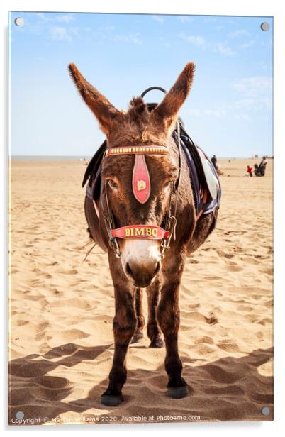 Donkey On The Beach Acrylic by Martyn Williams