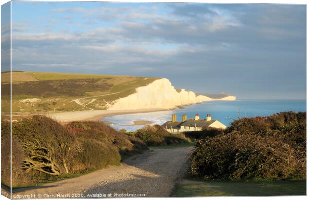 Seven Sisters from Seaford Head Canvas Print by Chris Harris