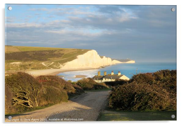 Seven Sisters from Seaford Head Acrylic by Chris Harris