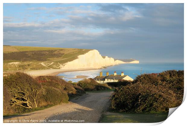 Seven Sisters from Seaford Head Print by Chris Harris