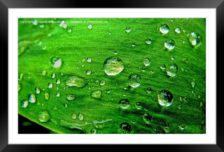 Raindrops on a Leaf Framed Mounted Print by Cass Castagnoli