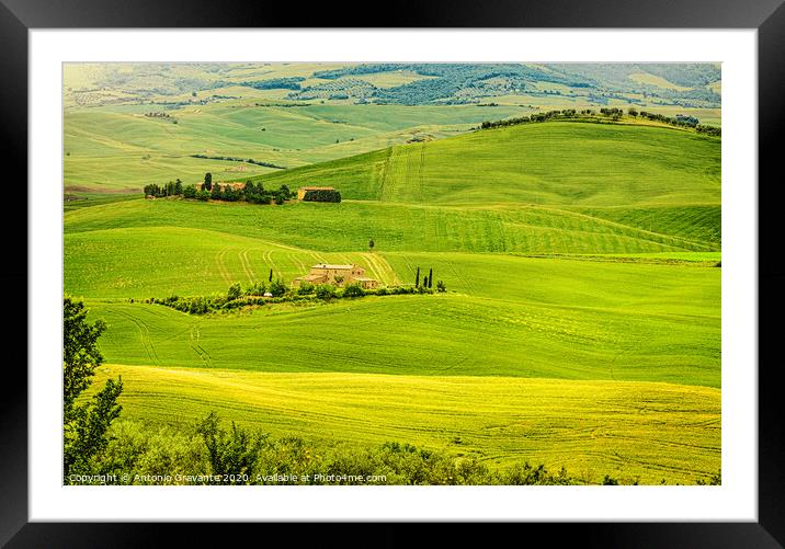 Typical landscape of the Tuscan hills in Italy Framed Mounted Print by Antonio Gravante
