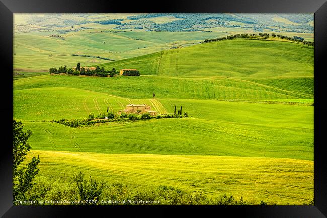 Typical landscape of the Tuscan hills in Italy Framed Print by Antonio Gravante
