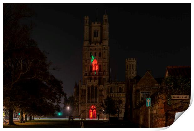 Giant Poppy projected onto Ely Cathedral for Remembrance Sunday, 8th November 2020 Print by Andrew Sharpe