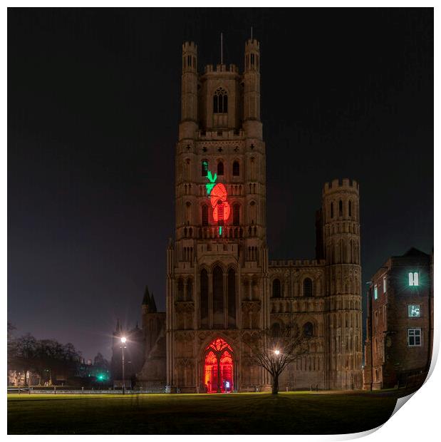 Giant Poppy projected onto Ely Cathedral for Remembrance Sunday, 8th November 2020 Print by Andrew Sharpe