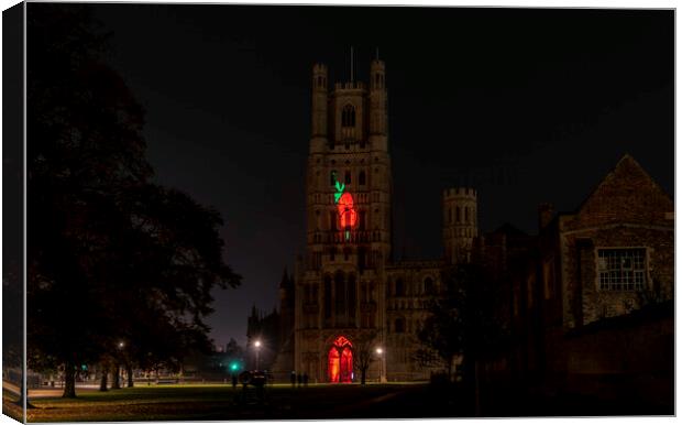 Giant Poppy projected onto Ely Cathedral for Remembrance Sunday, 8th November 2020 Canvas Print by Andrew Sharpe