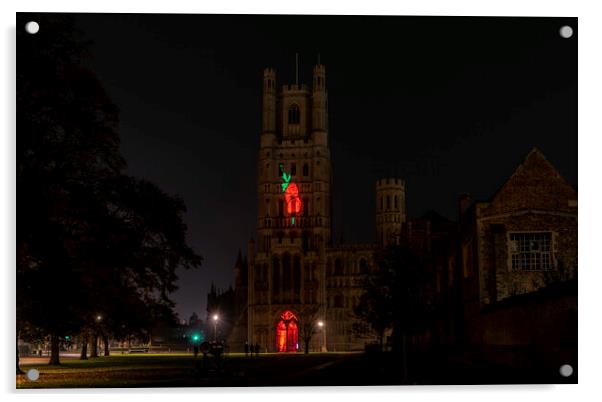 Giant Poppy projected onto Ely Cathedral for Remembrance Sunday, 8th November 2020 Acrylic by Andrew Sharpe