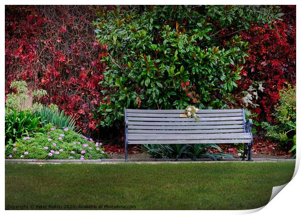 'Remembrance' , memorial seat. Print by Peter Bolton