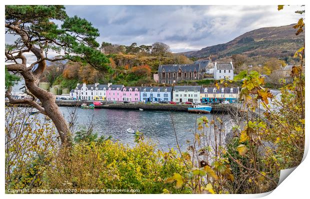 Harbour and Harbour front buildings, Portree, Isle Print by Dave Collins