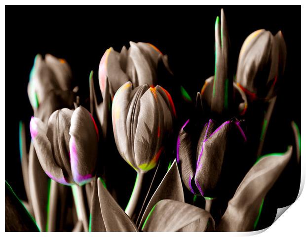Vibrant Blooms Print by Beryl Curran