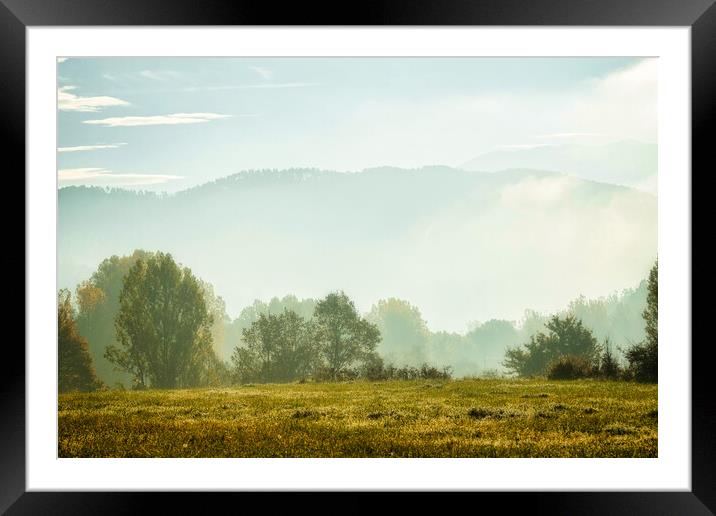 Autumn morning Framed Mounted Print by Arpad Radoczy